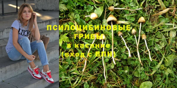 гидра Киренск