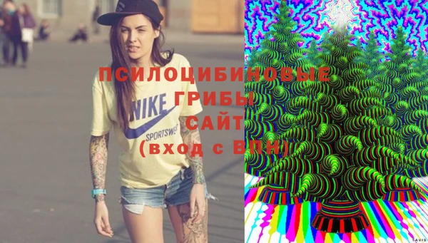 ALPHA-PVP Киреевск
