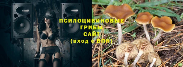 гидра Киренск