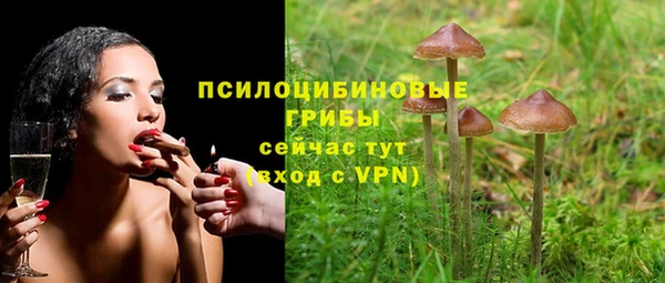 ALPHA-PVP Киреевск